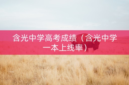 含光中学高考成绩（含光中学一本上线率）