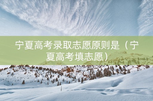 宁夏高考录取志愿原则是（宁夏高考填志愿）
