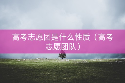 高考志愿团是什么性质（高考志愿团队）