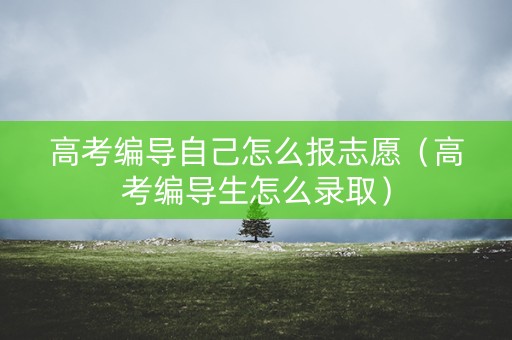 高考编导自己怎么报志愿（高考编导生怎么录取）