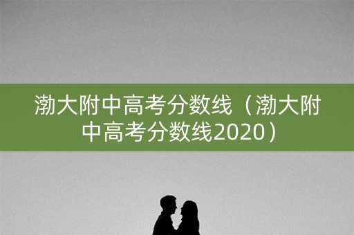 渤大附中高考分数线（渤大附中高考分数线2020）