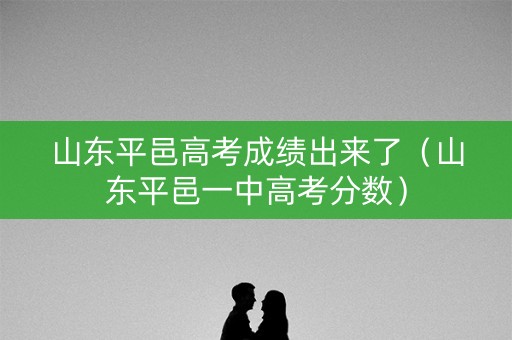 山东平邑高考成绩出来了（山东平邑一中高考分数）