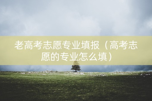 老高考志愿专业填报（高考志愿的专业怎么填）