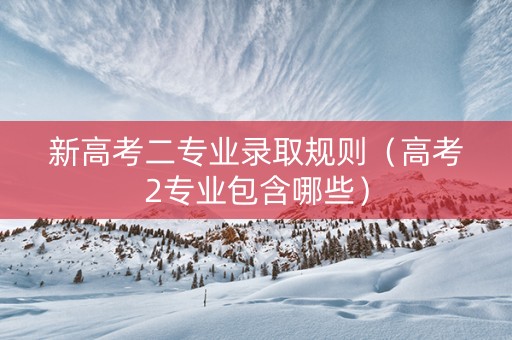 新高考二专业录取规则（高考2专业包含哪些）