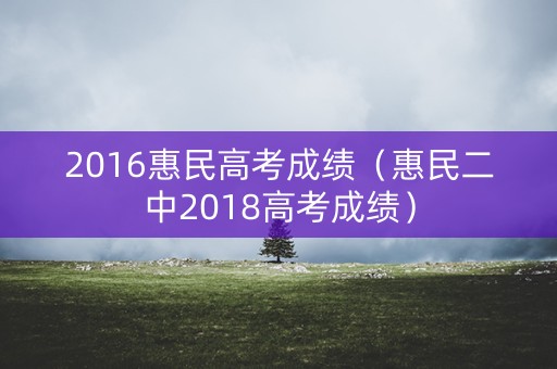 2016惠民高考成绩（惠民二中2018高考成绩）