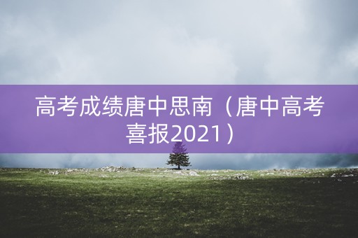 高考成绩唐中思南（唐中高考喜报2021）
