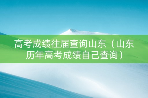 高考成绩往届查询山东（山东历年高考成绩自己查询）
