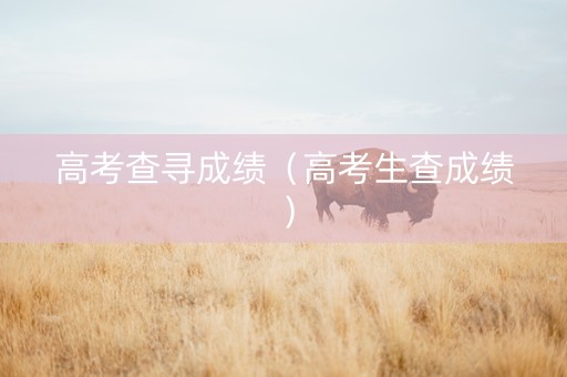 高考查寻成绩（高考生查成绩）