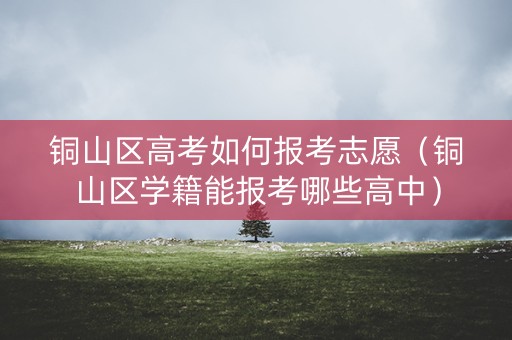 铜山区高考如何报考志愿（铜山区学籍能报考哪些高中）