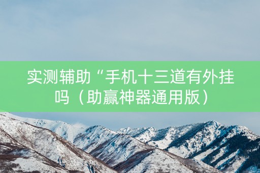 实测辅助“手机十三道有外挂吗（助赢神器通用版）