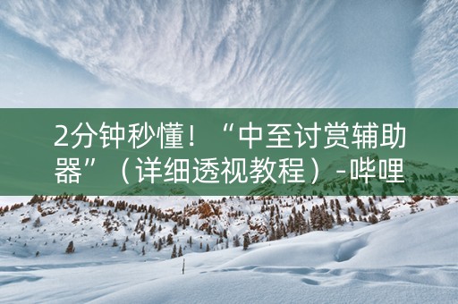 2分钟秒懂！“中至讨赏辅助器”（详细透视教程）-哔哩哔哩