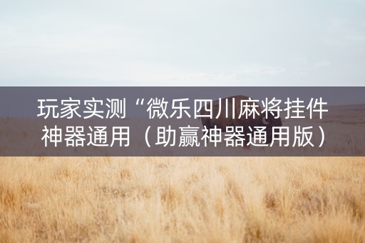 玩家实测“微乐四川麻将挂件神器通用（助赢神器通用版）