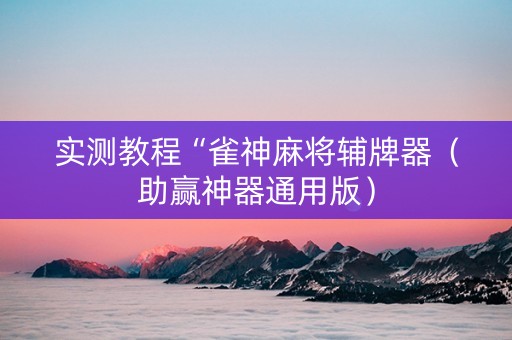 实测教程“雀神麻将辅牌器（助赢神器通用版）