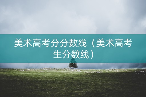 美术高考分分数线（美术高考生分数线）
