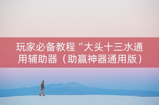 玩家必备教程“大头十三水通用辅助器（助赢神器通用版）