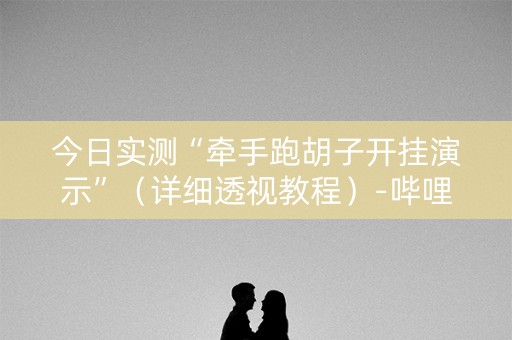 今日实测“牵手跑胡子开挂演示”（详细透视教程）-哔哩哔哩