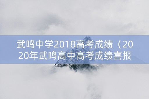 武鸣中学2018高考成绩（2020年武鸣高中高考成绩喜报）