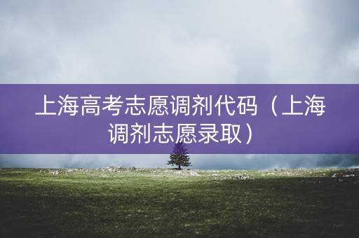 上海高考志愿调剂代码（上海调剂志愿录取）