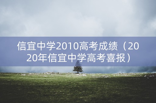信宜中学2010高考成绩（2020年信宜中学高考喜报）