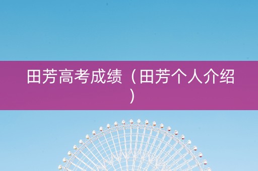 田芳高考成绩（田芳个人介绍）