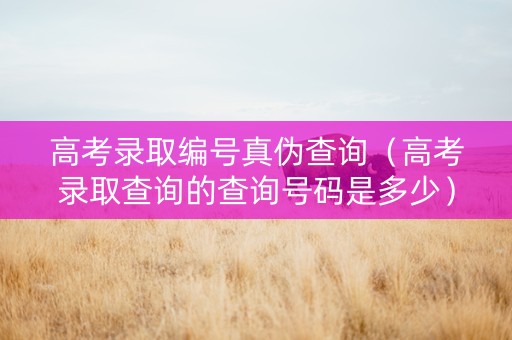 高考录取编号真伪查询（高考录取查询的查询号码是多少）
