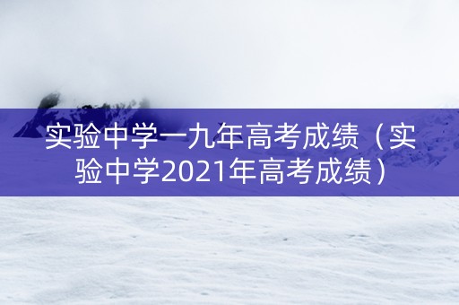 实验中学一九年高考成绩（实验中学2021年高考成绩）