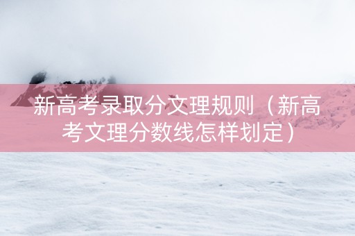 新高考录取分文理规则（新高考文理分数线怎样划定）