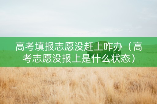 高考填报志愿没赶上咋办（高考志愿没报上是什么状态）