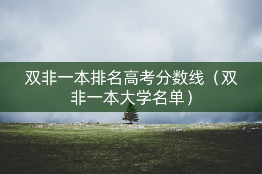 双非一本排名高考分数线（双非一本大学名单）