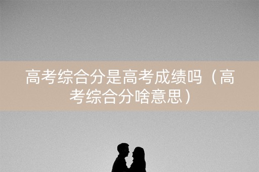 高考综合分是高考成绩吗（高考综合分啥意思）