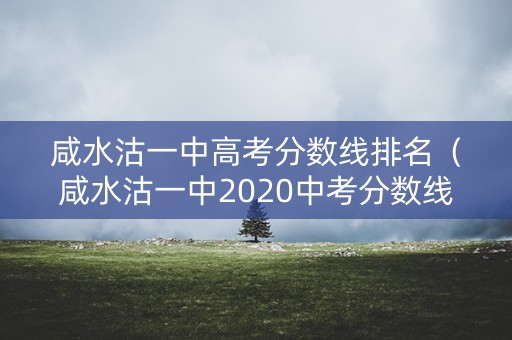 咸水沽一中高考分数线排名（咸水沽一中2020中考分数线）