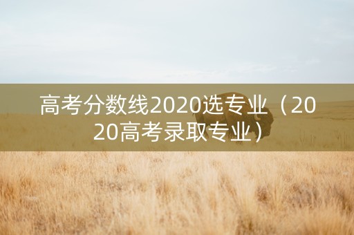 高考分数线2020选专业（2020高考录取专业）
