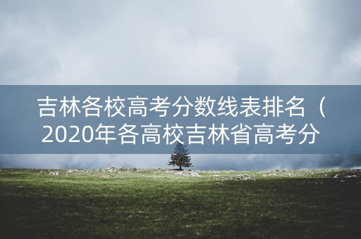 吉林各校高考分数线表排名（2020年各高校吉林省高考分数线）