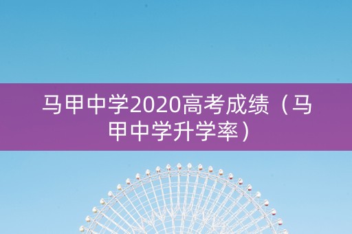 马甲中学2020高考成绩（马甲中学升学率）