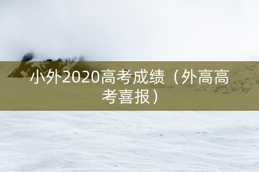 小外2020高考成绩（外高高考喜报）