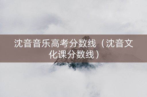 沈音音乐高考分数线（沈音文化课分数线）
