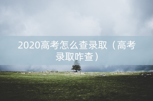 2020高考怎么查录取（高考录取咋查）