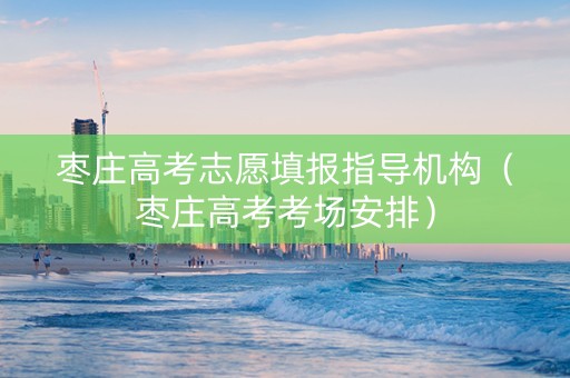 枣庄高考志愿填报指导机构（枣庄高考考场安排）
