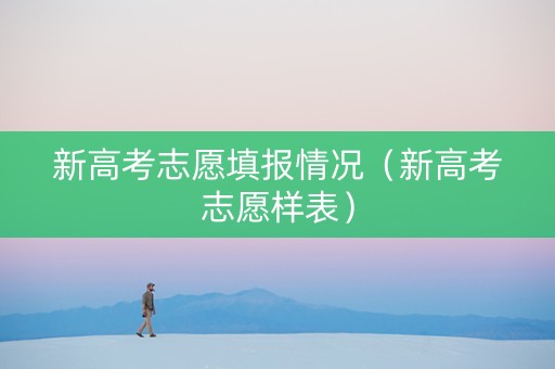 新高考志愿填报情况（新高考志愿样表）
