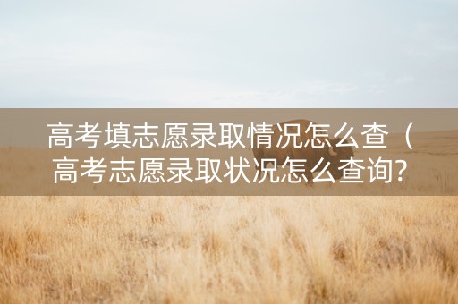 高考填志愿录取情况怎么查（高考志愿录取状况怎么查询?）
