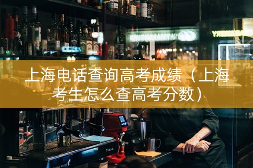 上海电话查询高考成绩（上海考生怎么查高考分数）