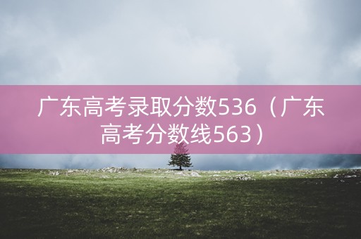 广东高考录取分数536（广东高考分数线563）