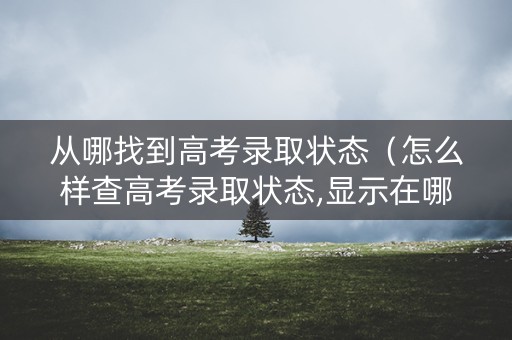 从哪找到高考录取状态（怎么样查高考录取状态,显示在哪个地方?）