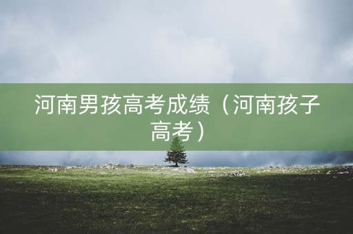 河南男孩高考成绩（河南孩子高考）