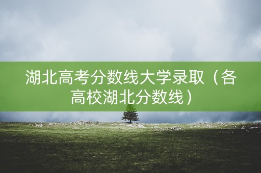 湖北高考分数线大学录取（各高校湖北分数线）