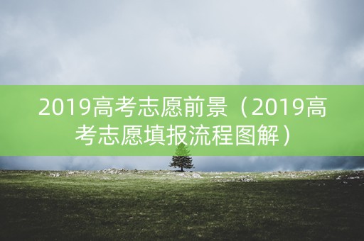 2019高考志愿前景（2019高考志愿填报流程图解）