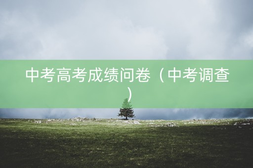 中考高考成绩问卷（中考调查）