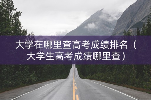 大学在哪里查高考成绩排名（大学生高考成绩哪里查）