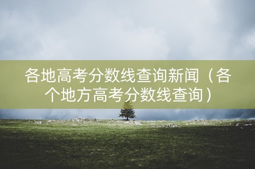 各地高考分数线查询新闻（各个地方高考分数线查询）