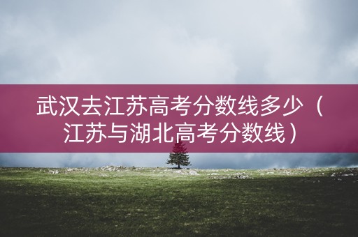 武汉去江苏高考分数线多少（江苏与湖北高考分数线）